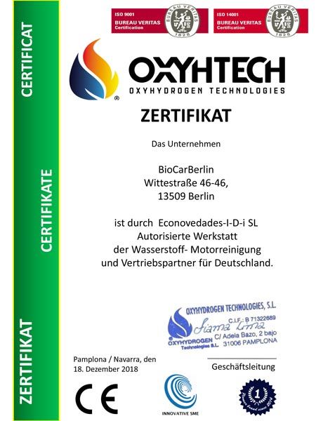 carbon-motorreinigung